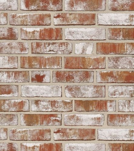Облицовочный кирпич GEESTBRAND Бело-коричневый пестрый (braunweiß-bunt) ручн.форм. (handform), 240x115x71 мм, Röben